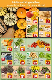 Chrysantheme im REWE Prospekt "Dein Markt" mit 28 Seiten (Köln)