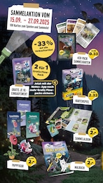 Malbuch Angebot im aktuellen Netto mit dem Scottie Prospekt auf Seite 35