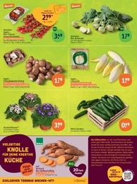 tegut Pilze im Prospekt 