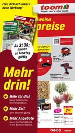 toom Baumarkt Prospekt „Respekt, wer's selber macht.“ für Winterbach b Schorndorf, Württ und Umgebung mit 18 Seiten toom Baumarkt Prospekt für Winterbach b Schorndorf, Württ und Umgebung: „Respekt, wer's selber macht.“, 18 Seiten, 22.08.2026 - 28.08.2026