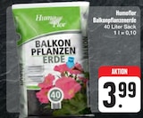 E center Amberg - Balkonpflanzenerde Angebot im Prospekt Balkonpflanzenerde bei E center im Amberg Prospekt für 3,99 €