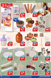 Türstopper Angebot im aktuellen budni Prospekt auf Seite 7