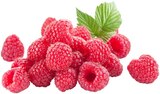 Himbeeren bei REWE im Prospekt "" für 1,99 €