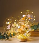 LED-Glaskugel im Netto mit dem Scottie Prospekt LED-Glaskugel im aktuellen Netto mit dem Scottie Prospekt für 6,99 €