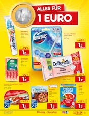 Aktueller Netto Marken-Discount Prospekt mit Fisch, "Aktuelle Angebote", Seite 17