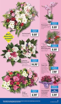 Blumentopf im aktuellen Lidl Prospekt (Heilbronn) Blumentopf im Lidl Prospekt "LIDL LOHNT SICH" mit 68 Seiten (Heilbronn)
