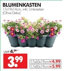Blumenkasten im Angebot bei Wreesmann in Aurich Blumenkasten Angebote bei Wreesmann Aurich für 3,99 €