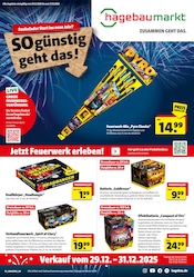 Aktueller Hagebaumarkt Baumärkte Prospekt in Barsbüttel und Umgebung, "So günstig geht das!" mit 4 Seiten, 29.12.2025 - 31.12.2025