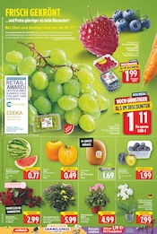 Sharonfrucht Angebote im Prospekt "Aktuelle Angebote" von E center Sharonfrucht Angebote im Prospekt "Aktuelle Angebote" von E center auf Seite 2