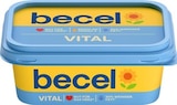 REWE Stralsund - Vital oder Gold Angebot im Prospekt Vital oder Gold bei REWE im Stralsund Prospekt für