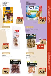 Ente im Garten-Center Nordharz GmbH & Co. KG Prospekt "Wo Farben wachsen und Freude blüht!" mit 16 Seiten (Hildesheim)