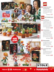 Pflanzen im Kaufhaus Stolz Prospekt in Cuxhaven Aktueller Kaufhaus Stolz Prospekt mit Pflanzen, "STOLZ. Das Kaufhaus im Norden.", Seite 29