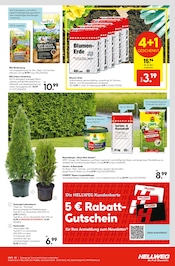 Aktueller Hellweg Prospekt mit Pflanzen, "Entscheiden Sie selbst", Seite 15