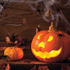 20 Serviettes Jack O'Lantern - MESA BELLA en promo chez Intermarché Super 20 Serviettes Jack O'Lantern - MESA BELLA dans le catalogue Intermarché Super