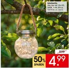Solarleuchte im Angebot bei Zurbrüggen in Melle Solarleuchte Angebote bei Zurbrüggen Melle für 4,99 €