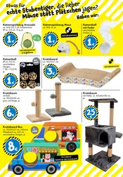 Aktueller TEDi Prospekt mit Tierbedarf, "TEDi - voller Ideen!", Seite 22