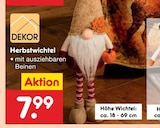 Herbstwichtel im Angebot bei Netto Marken-Discount in Eberswalde Herbstwichtel Angebote bei Netto Marken-Discount Eberswalde für 7,99 €