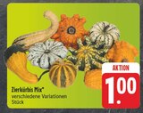 Zierkürbis Mix im Angebot bei EDEKA in Gera Zierkürbis Mix Angebote bei EDEKA Gera für 1,00 €