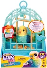 Vogel Indie von Little Live Pets für 17,99 € bei Rossmann im Angebot Vogel Indie von Little Live Pets im aktuellen Rossmann Prospekt