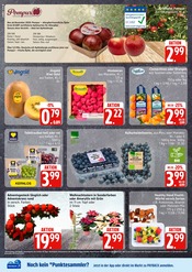 Ähnliche Zitronenbaum Angebote im Prospekt "Top Angebote" von EDEKA in Hamburg Ähnliche Angebote wie Zitronenbaum im Prospekt "Top Angebote" auf Seite 4 von EDEKA in Hamburg