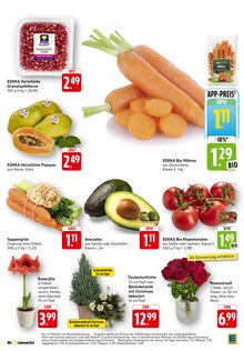 Pflanzen im aktuellen E center Prospekt (Reutlingen) Pflanzen im E center Prospekt "Aktuelle Angebote" mit 54 Seiten (Reutlingen)