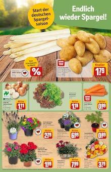 Blumen im aktuellen REWE Prospekt (Berlin) Blumen im REWE Prospekt "Dein Markt" mit 34 Seiten (Berlin)