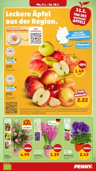 Blumen im Penny Prospekt "Wer günstig will, muss Penny." mit 46 Seiten (Ingolstadt)