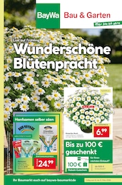 BayWa Bau- und Gartenmärkte Prospekt für Obing mit 16 Seiten