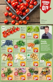 Aktueller REWE Prospekt mit Äpfel, "Dein Markt", Seite 9