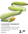 Zucchini 'Snowwhite' im Angebot bei Dehner Garten-Center in Würzburg Zucchini 'Snowwhite' Angebote bei Dehner Garten-Center Würzburg für 2,89 €