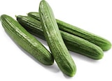 Netto Marken-Discount - Gurken Angebot im Prospekt Gurken bei Netto Marken-Discount im Prospekt "" für 0,49 €