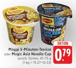 5-Minuten-Terrine im Angebot bei E center in Offenburg 5-Minuten-Terrine Angebote von Maggi bei E center Offenburg für 0,79 €