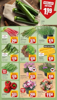 Paprika im REWE Prospekt "Dein Markt" mit 31 Seiten (Moers)