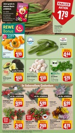 Ähnliche Obstbaum Angebote im Prospekt "Dein Markt" von REWE in Straubing Ähnliche Angebote wie Obstbaum im Prospekt "Dein Markt" auf Seite 9 von REWE in Straubing