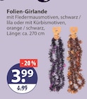 Folien-Girlande von  im aktuellen V-Markt Prospekt für 3,99 €