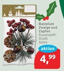 Bastelset Zweige und Zapfen für 4,99 € bei budni im Angebot Bastelset Zweige und Zapfen im aktuellen budni Prospekt
