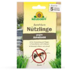 Bestell-Set Nützlinge bei ZG Raiffeisen im Titisee-Neustadt Prospekt für 16,99 €
