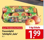 Pausenäpfel oder Tafeläpfel "Gala" bei famila Nordost im Falkensee Prospekt für 1,99 €