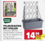 Pflanzkasten mit Spalier im Angebot bei E center in Trier Pflanzkasten mit Spalier Angebote von Living & Garden bei E center Trier für 14,99 €