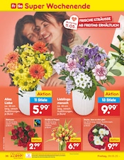 Tulpen im Netto Marken-Discount Prospekt in Ulm Aktueller Netto Marken-Discount Prospekt mit Tulpen, "Aktuelle Angebote", Seite 62