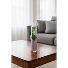 Muguet 3 griffes en promo chez Carrefour Market Villeurbanne à 9,99 €