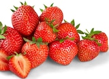 Bio-Erdbeeren bei Penny im Nettetal Prospekt für 1,00 €
