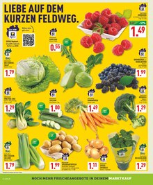 Aktueller Marktkauf Oelde Prospekt Marktkauf Prospekt Oelde "Aktuelle Angebote" mit 26 Seiten