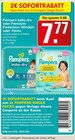 Pampers baby-drybaby-dry oder Premium-Protection-Windeln oder -Pants Angebote von Pampers bei WEZ Minden für 7,77 €