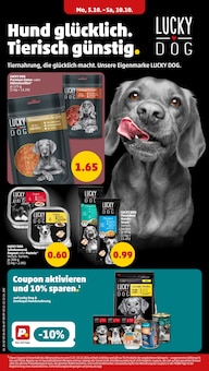 Ente im aktuellen Penny Prospekt (Kassel) Ente im Penny Prospekt "Wer gĂĽnstig will, muss Penny." mit 41 Seiten (Kassel)
