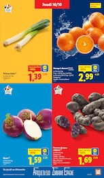 Prix et réduction Navet dans le prospectus Lidl en cours Offre Navet dans le catalogue Lidl du moment à la page 3