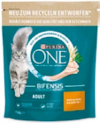 One Katzentrockennahrung Angebote von Purina bei Netto mit dem Scottie Bautzen für 2,99 €