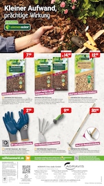 Aktueller Raiffeisenmarkt Prospekt mit Garten, "Wunderschöner Rosengarten", Seite 4