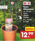 Netto Marken-Discount Arzberg - Rosen Stämmchen Angebot im Prospekt Rosen Stämmchen bei Netto Marken-Discount im Arzberg Prospekt für 12,99 €