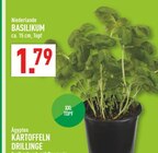 Marktkauf Greven Prospekt mit  im Angebot für 1,79 €